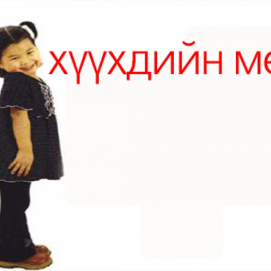 Үндсэн хуулиа "уландаа гишгэв үү" энэ төр...
